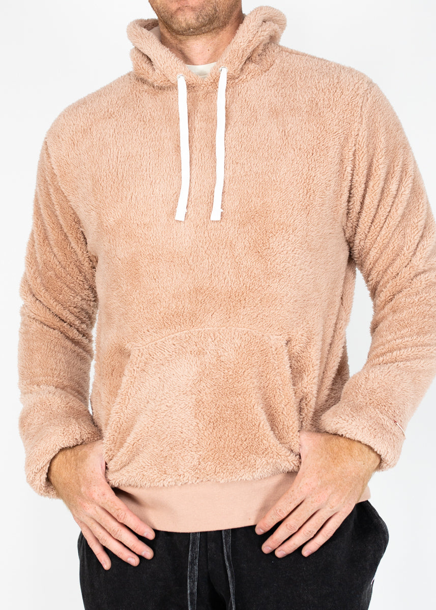 Teddy